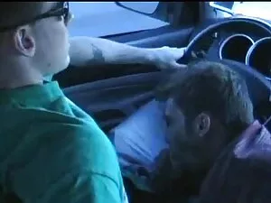 La perra blanca Terr ...