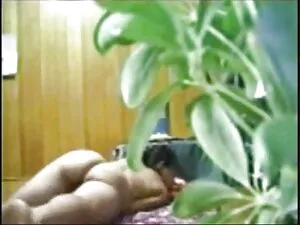 Elegant Anal - Adole ...