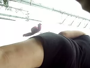 Bibi miami viejitas  ...